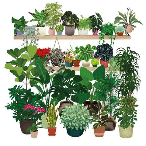 Museums And Galleries Houseplants Card