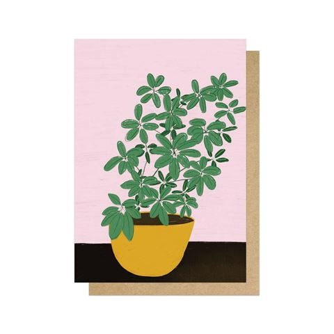 Yellow Potted Plant Card Schefflera by Sifa Mustafa