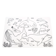 Moana Road Silicone Colour-In Placemats Animals of Aotearoa 2558