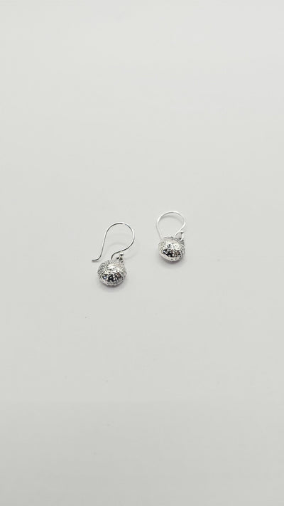 Some Sterling Silver Kina Hook Earrings 328