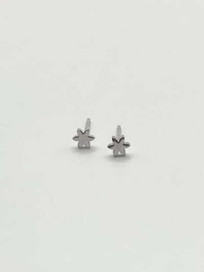 Some Star Stainless Steel Stud Earrings 468