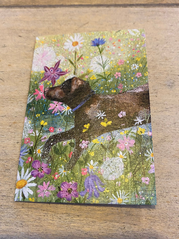 Coast and Country Summer Garden (dog) Mini Card