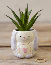 Natural Life succulent critter bunny 056