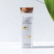 Little Taonga Kiwi Stud Earrings in Jar LTS and LTG
