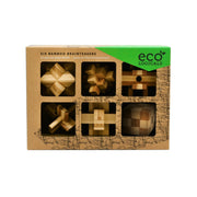 Project Genius  Ecological Brainteasers - 6 pack EC003