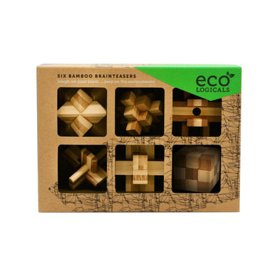 Project Genius  Ecological Brainteasers - 6 pack EC003