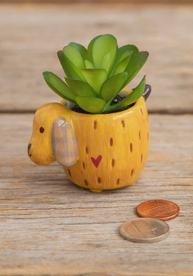 Natural Life Succulent Critter Yellow Dog 064