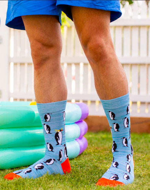 Bamboozled Men's Bamboo Penguin Socks BBS17