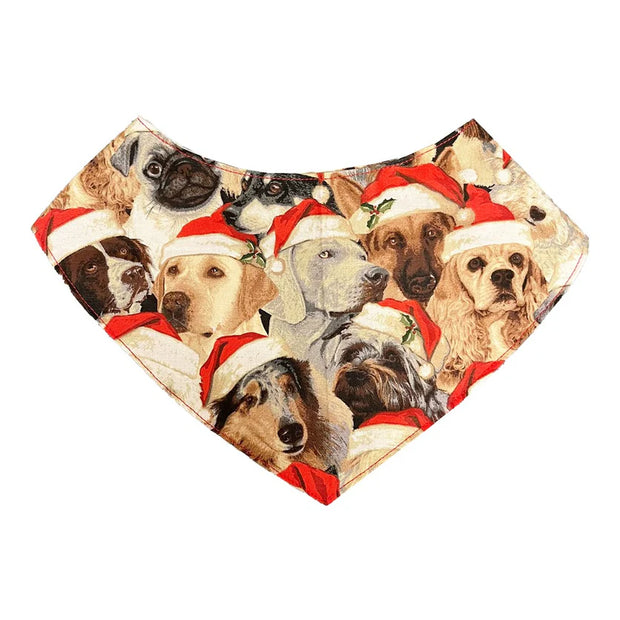 Munch Baby Bandana