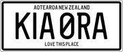 Moana Road Number Plate Magnet