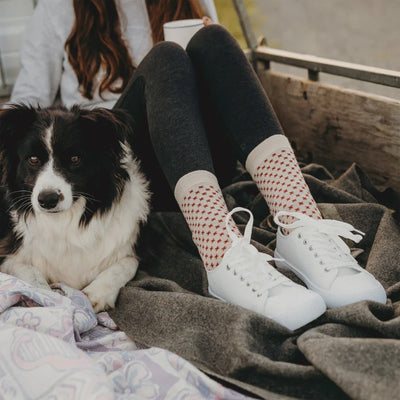 Lamington Merino Crew Socks Women's Chai
