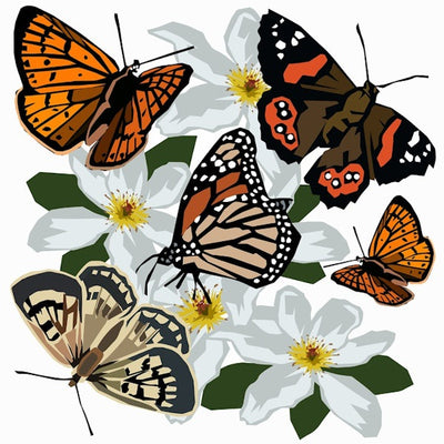 Image Vault MM1390 NZ Butterflies Pre-matted mini print Ira Mitchel