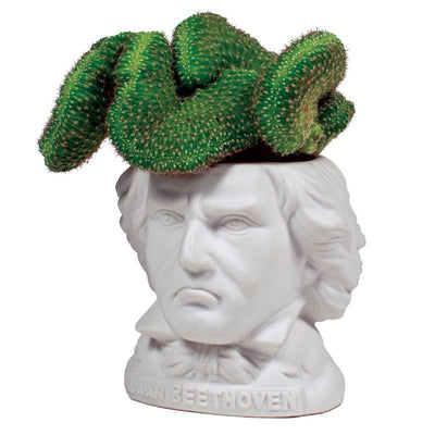 The Unemployed Philosophers Guild Ludwig Van Beethoven Fertile Mind Planter