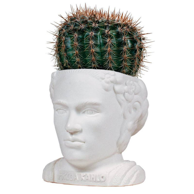 The Unemployed Philosophers Guild Frida Kahlo Fertile Mind Planter