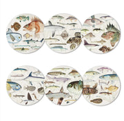 100% New Zealand Fishes Of NZ Set Of 6 Coasters