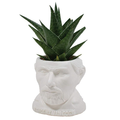 The Unemployed Philosophers Guild - Van Gogh Fertile Mind - Planter