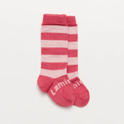 Lamington Merino Wool Knee High Socks | BABY | Grace