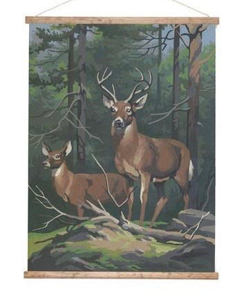 100% NZ Wall Chart Paint by Numbers Deer PICK UP ONLY
